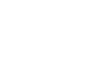button-icon